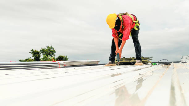 Best Gutter Installation and Repair  in Ford Heights, IL