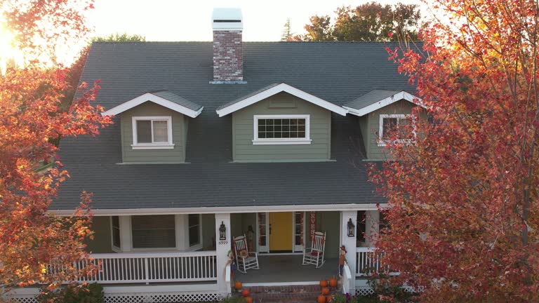 Best Gutter Installation and Repair  in Ford Heights, IL